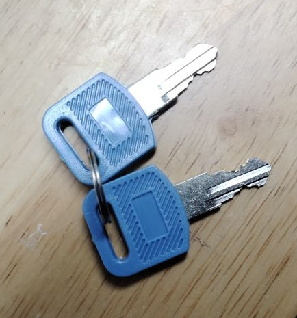 Custom Cabinet Keys with Blue Plastic Covers
