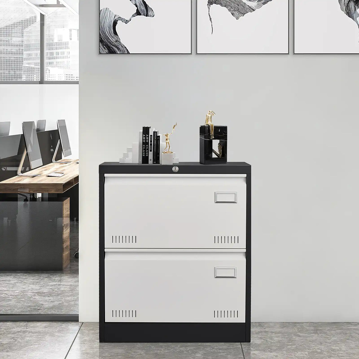 Metal Filing Cabinet with Lock 20 #black-white #2 drawers