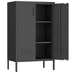 Geatmeet Metal Storage Cabinet,Storage Cabinet with 2 Doors and Adjustable Shelves, Locker Cabinet with legs for Tools, Kitchen & Office